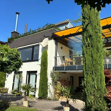 York * Трабен-Трарбах